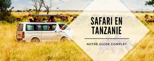 Guide complet pour un safari réussi en Tanzanie !