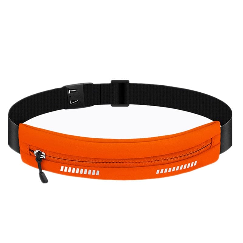 ceinture portefeuille voyage invisible antivol